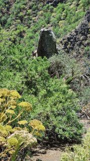 2023-04-GranCan-Guayadeque-097.jpg